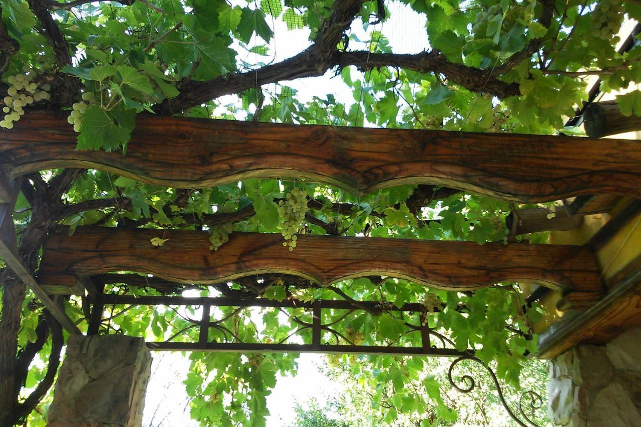 Finca La Encantada サン・ラファエル エクステリア 写真