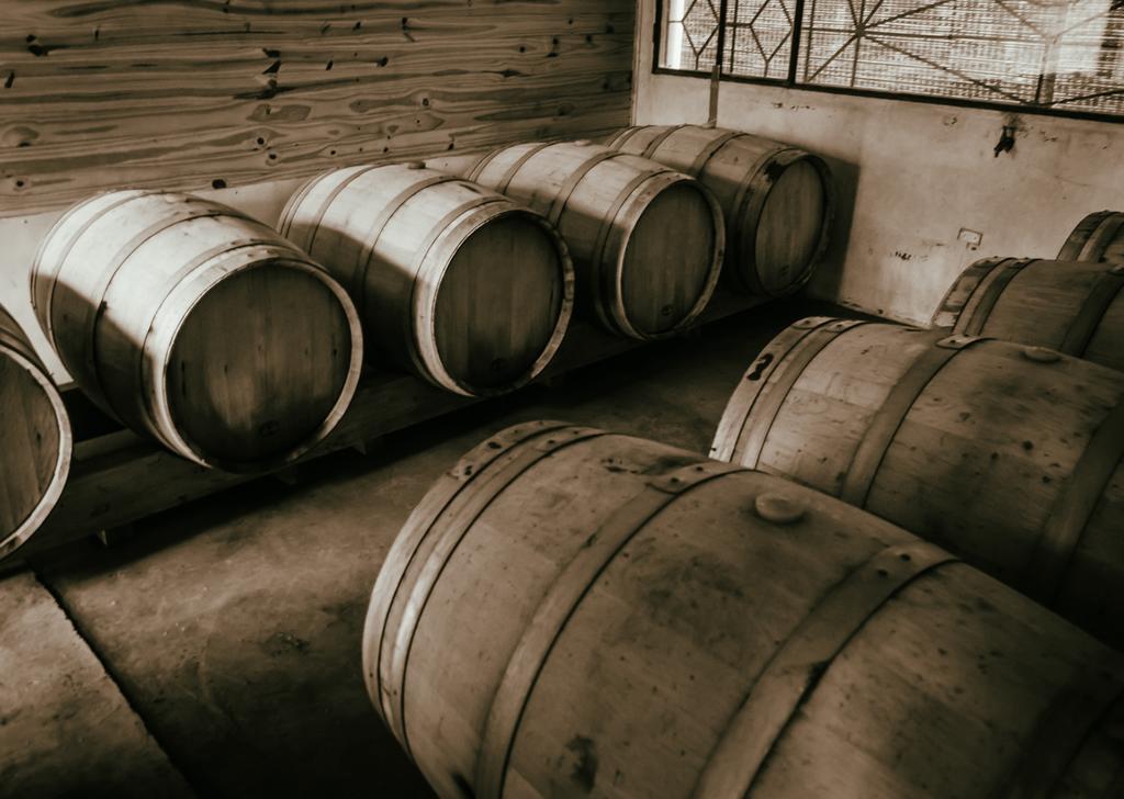 Finca La Encantada サン・ラファエル エクステリア 写真