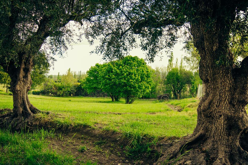 Finca La Encantada サン・ラファエル エクステリア 写真